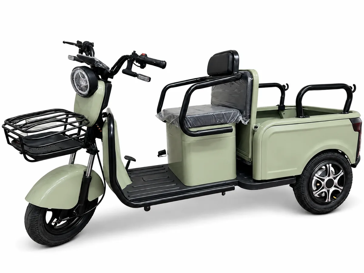 Cargo electric tricycle project scenario